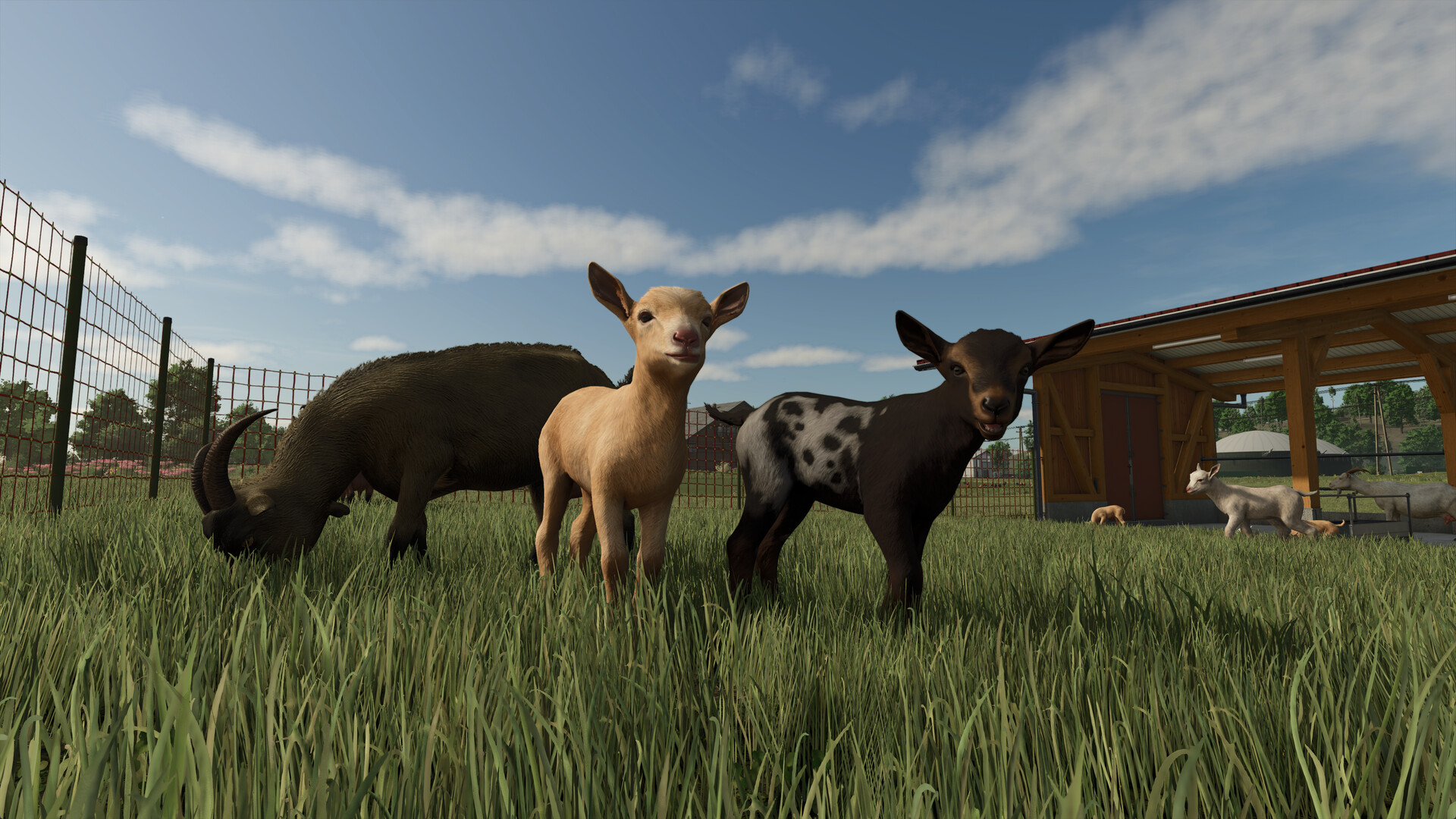 Скриншот Farming Simulator 25