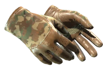 ★ Driver Gloves | Convoy (Well-Worn)