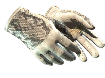 ★ Driver Gloves | King Snake (Minimal Wear)