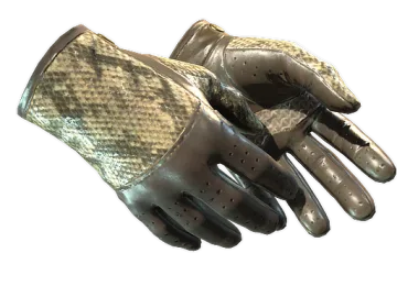 ★ Driver Gloves | Diamondback (Minimal Wear)