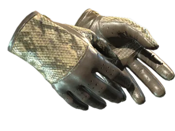 ★ Driver Gloves | Diamondback (Well-Worn)