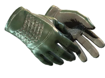 ★ Driver Gloves | Racing Green (Factory New)