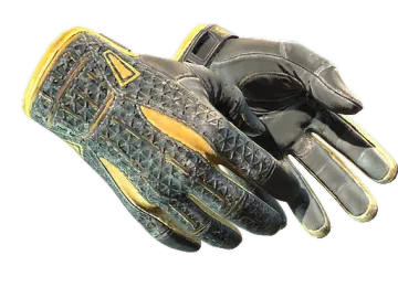 ★ Sport Gloves | Omega (Field-Tested)