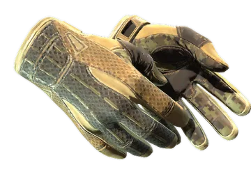 ★ Sport Gloves | Arid (Minimal Wear)