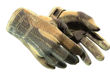 ★ Sport Gloves | Arid (Field-Tested)