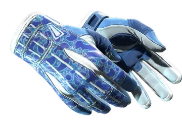 ★ Sport Gloves | Amphibious (Minimal Wear)