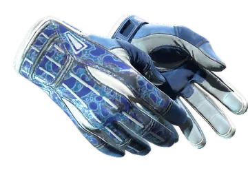 ★ Sport Gloves | Amphibious (Well-Worn)