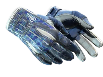 ★ Sport Gloves | Amphibious (Battle-Scarred)