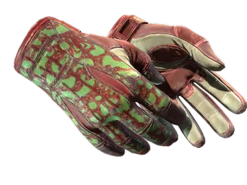 ★ Sport Gloves | Bronze Morph (Well-Worn)