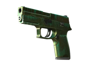 StatTrak™ P250 | Verdigris (Battle-Scarred)