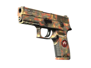 StatTrak™ P250 | Red Rock (Factory New)