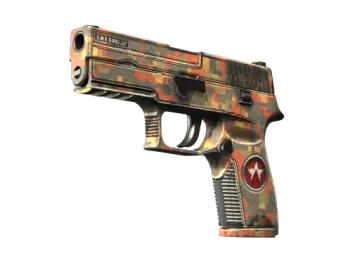 StatTrak™ P250 | Red Rock (Well-Worn)