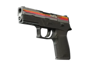 StatTrak™ P250 | Cassette (Field-Tested)