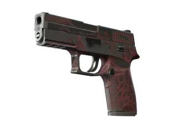 StatTrak™ P250 | Contaminant (Battle-Scarred)