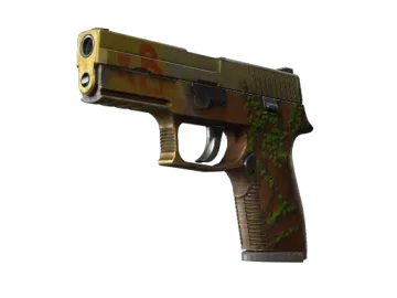 StatTrak™ P250 | Inferno (Battle-Scarred)