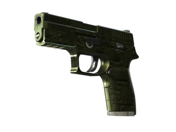 P250 | Iron Clad (Field-Tested)