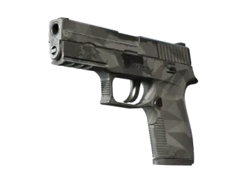 Souvenir P250 | Facets (Field-Tested)