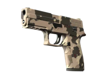P250 | Black & Tan (Minimal Wear)