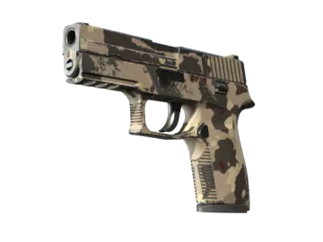 P250 | Black & Tan (Field-Tested)