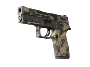 P250 | Black & Tan (Battle-Scarred)