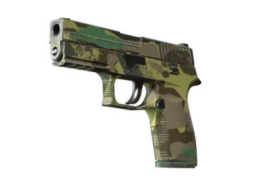 Souvenir P250 | Boreal Forest (Field-Tested)