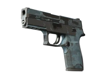 P250 | Forest Night (Battle-Scarred)