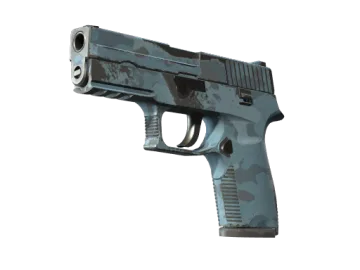 Souvenir P250 | Forest Night (Field-Tested)