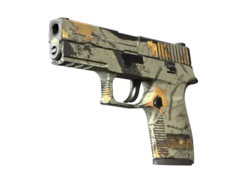 P250 | Modern Hunter (Field-Tested)