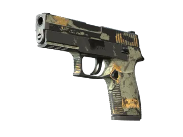 P250 | Modern Hunter (Battle-Scarred)