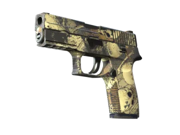P250 | Contamination (Well-Worn)