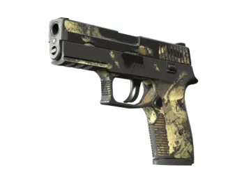 P250 | Contamination (Battle-Scarred)