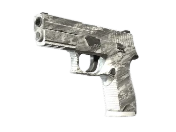 P250 | Sleet (Minimal Wear)