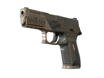StatTrak™ P250 | Bullfrog (Minimal Wear)