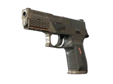 StatTrak™ P250 | Bullfrog (Field-Tested)
