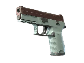 P250 | Copper Oxide (Field-Tested)