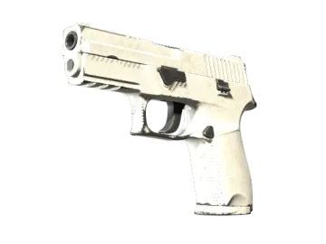 P250 | Whiteout (Field-Tested)