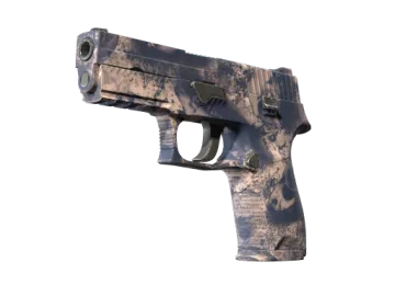 P250 | Drought (Factory New)