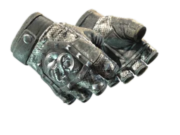 ★ Broken Fang Gloves | Unhinged (Field-Tested)