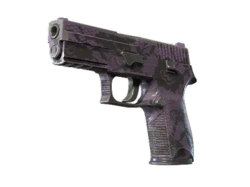 P250 | Plum Netting (Field-Tested)