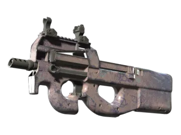 Souvenir P90 | Wash me (Well-Worn)