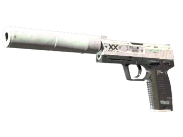 StatTrak™ USP-S | Printstream (Battle-Scarred)