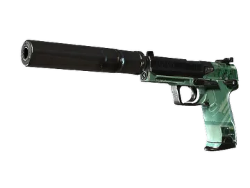 StatTrak™ USP-S | PC-GRN (Well-Worn)
