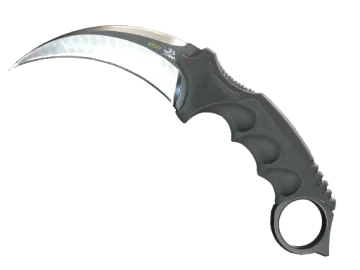 ★ StatTrak™ Karambit