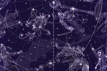 International 2025 Loading Screen #5