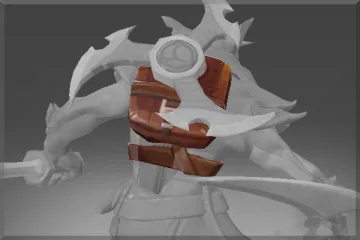 Second Disciple's Satchel
