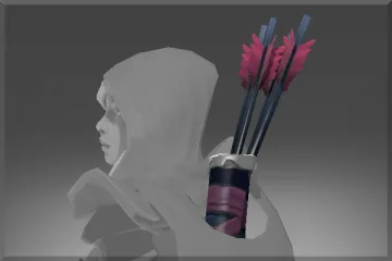 Quiver of the Shadowcat