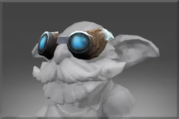 Experimentalist’s Goggles