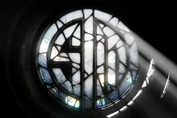 International 2023 Team Loading Screen - TSM