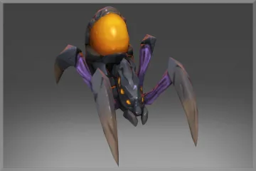 Amber Queen’s Spiderling
