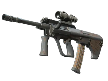 Souvenir AUG | Spalted Wood (Battle-Scarred)
